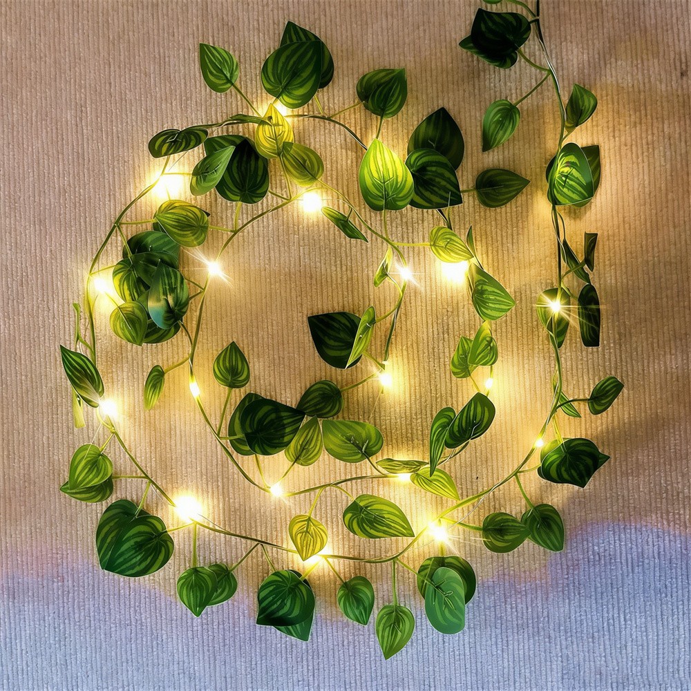 Guirnalda de Luces LED con Hoj - Outdoor Power For Wedding reseña y precio