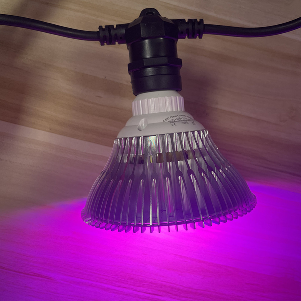 Cadena de luces LED de 10M, re - Outdoor Power Adapter reseña y precio